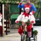 Animación de Calle de Navidad Retirada