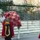 Animación de Calle de Navidad Retirada