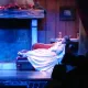 Christmas Dream