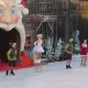 Dreaming on Ice