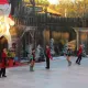 Dreaming on Ice