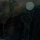 El Bosque Encantado