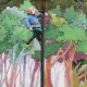 El Bosque Encantado