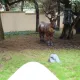El Bosque Encantado