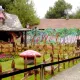 El Bosque Encantado