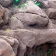El Bosque Encantado