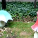 El Bosque Encantado