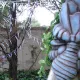 El Bosque Encantado