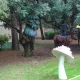 El Bosque Encantado