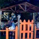 El Bosque Encantado