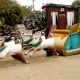 El Laberinto de Navidad