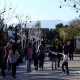 Navidad en Far West