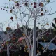 Navidad en Far West