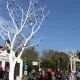 Navidad en Far West