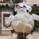 Navidad en Mediterrània