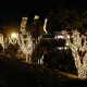 Navidad en Mediterrània