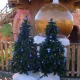 Navidad en SésamoAventura