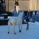Champions on Ice