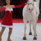 Champions on Ice