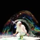 Winter Magic Bubblebou