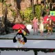 Woody on Ice