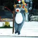 Woody on Ice