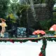 Woody on Ice