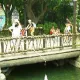 Animación de Calle de Polynesia retirada