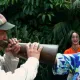 Animación de Calle de Polynesia retirada