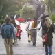 Animación de Calle de Polynesia retirada