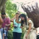 Animación de Calle de Polynesia retirada