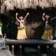 Animación de Calle de Polynesia retirada