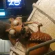 Ice Age 4D: The Ride