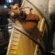 Ice Age 4D: The Ride