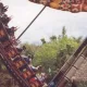 Kon-Tiki Wave