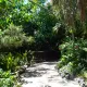 Makamanu Garden