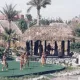 Polynesian Show