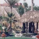 Polynesian Show