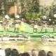 Polynesian Show