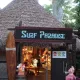 Surf Paradise