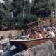 Tutuki Splash