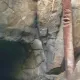 Tutuki Splash