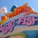 Magic Fish