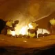 Tem&aacute;tica de S&eacute;samo Aventura