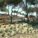 Beach Club
