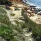 Playa del Beach Club