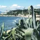 Playa del Beach Club