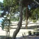 Playa del Beach Club