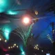 Amaluna