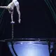Amaluna